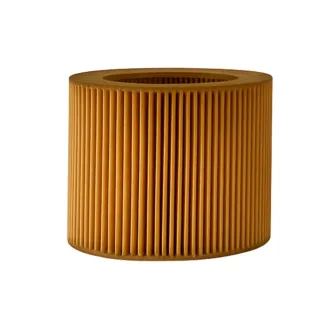 Luftfilter til 10hp skrukompressorer